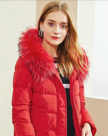 【阿依莲女装】2020火热招商中……(图1)