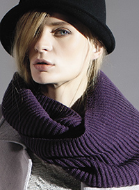 歌之秀品牌诠释(图1)