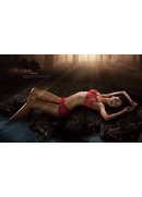 霞黛芳2011新款画册(图2)