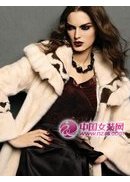 法仙雅2011新款画册