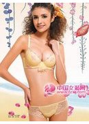 彩多姿2011新款画册(图1)