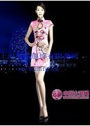 徽毫2011新款画册