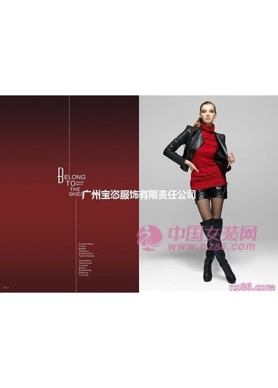 BAAO2011新款画册(图7)