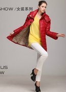 杨子鹤2013新款画册