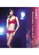 丹荷莉雅2014春装新款画册(图3)