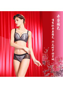 丹荷莉雅2014春装新款画册(图5)