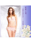 丹荷莉雅2014茉莉之恋新款画册(图1)