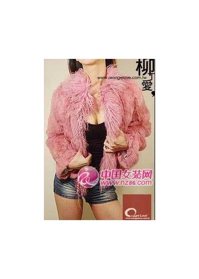 柳丁爱2011新款画册(图2)