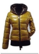 双羽2012新款画册(图1)