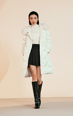 阿依莲品牌展示 (图3)