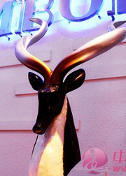 丹比奴分享，加盟服装品牌的关键点是什么?