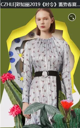 彩知丽2019《时令》蓄势春夏新品订货会(图15)