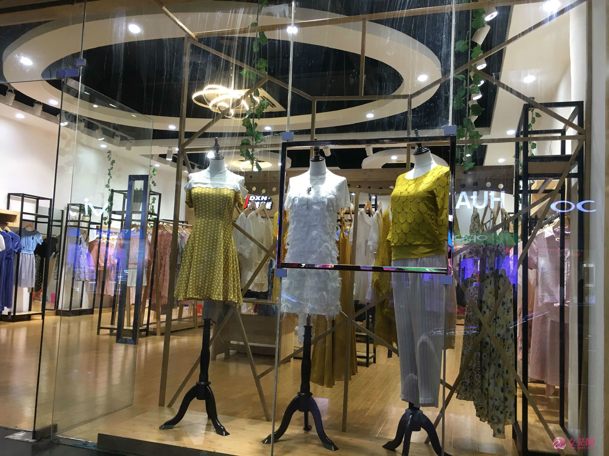 热烈祝贺金蝶茜妮女装签约客户魏小姐新店开业大吉！[图3]