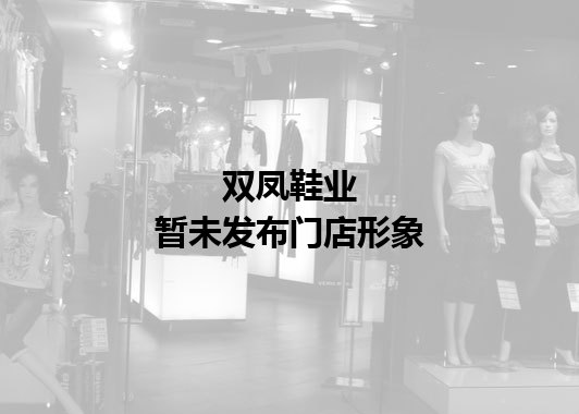 双凤鞋业暂未发布门店图