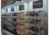 捷诗菲雅旗舰店/专卖店/专柜形象