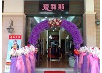 爱利斯旗舰店/专卖店/专柜形象