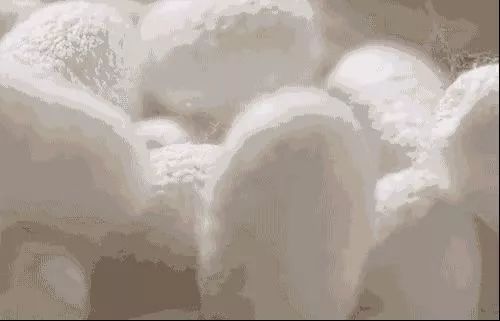 卡蔓 六月炽热盛夏,为似火燃烧的身心降降温~(图21) 卡蔓 六月炽热盛夏,为似火燃烧的身心降降温~(图21)
