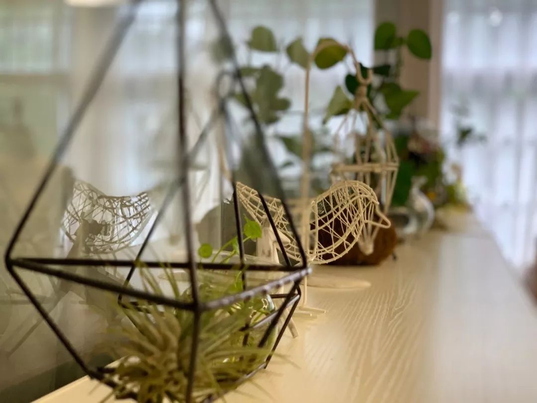 LAMZ李爱木子 亲爱的，热爱的，永生难忘的(图11)