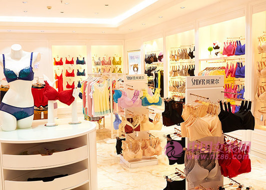 2019年最受女性信赖的十大内衣品牌排行榜(图1)