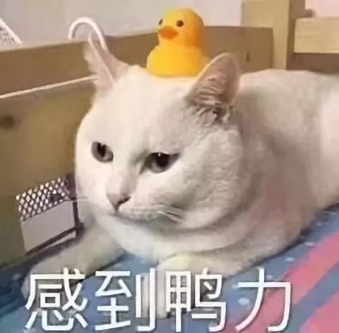 2019年秋冬女装流行色 超美超高级!(图1) 2019年秋冬女装流行色 超美超高级!(图1)