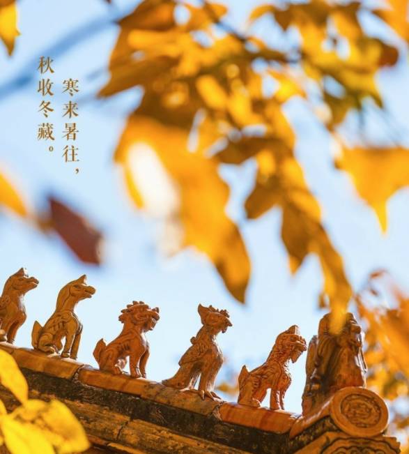 水墨生香 今日“立冬”(图7)